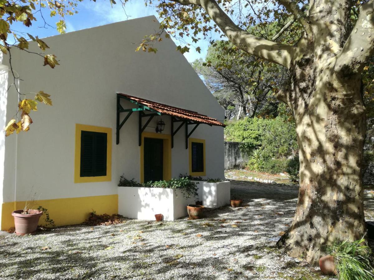 Montejunto Villas - Casa Do Platano Cadaval Экстерьер фото